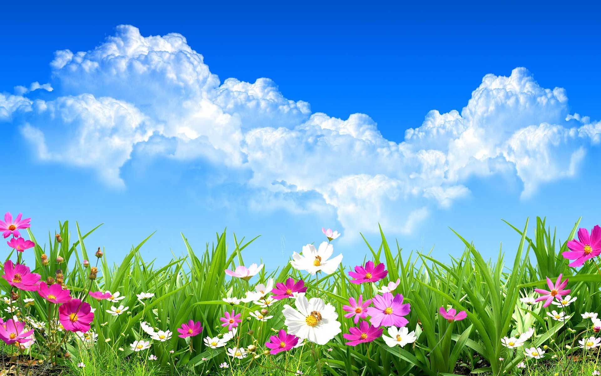 Spring Backgrounds 1920x1200 Full HD Wall