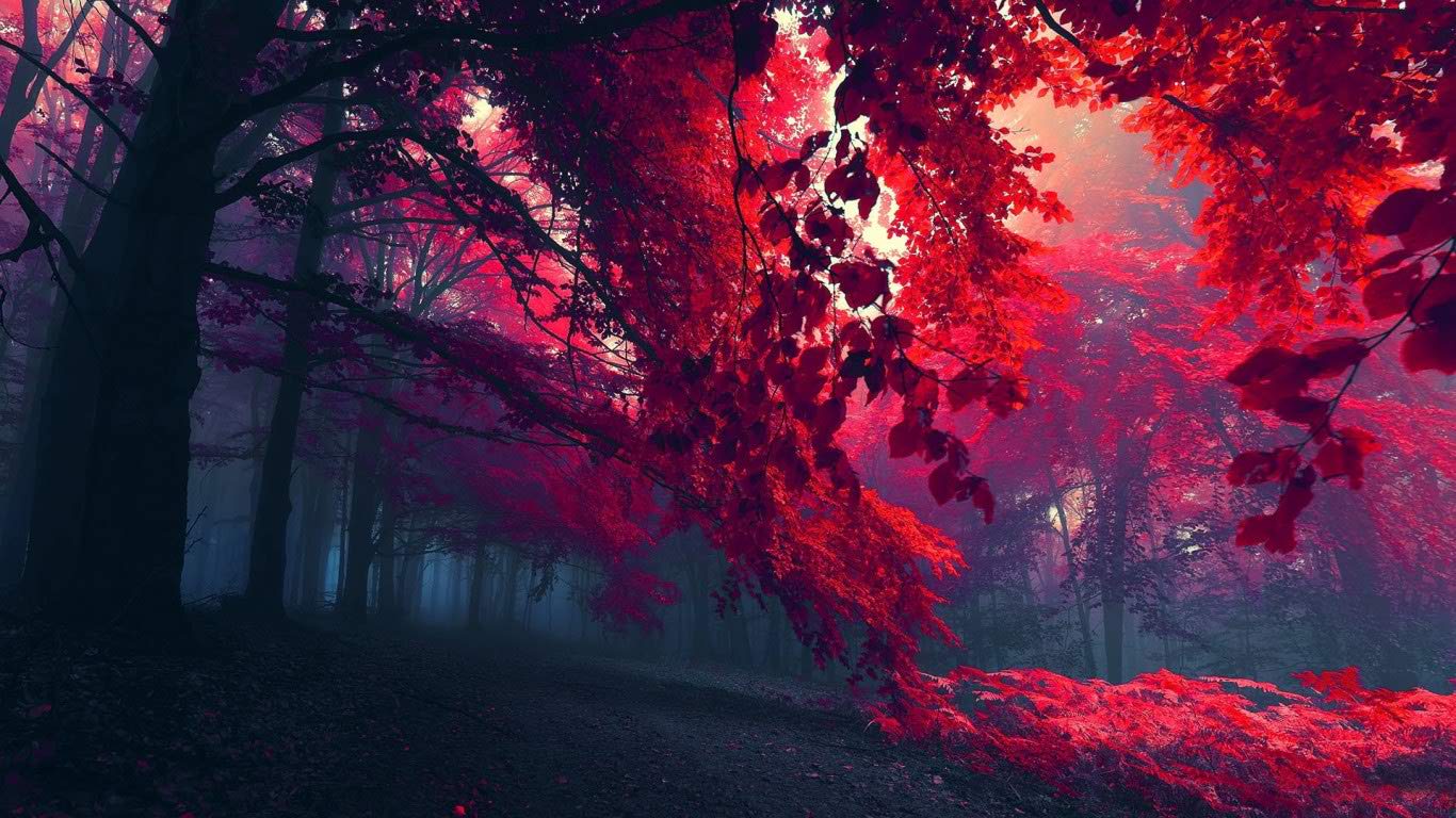 Widescreen Wallpaper, Red Tree