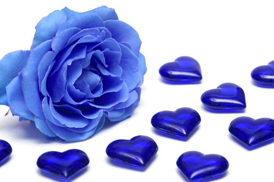 Blue Rose Wallpapers, Blue Rose With Hearts, 900x600, #9485