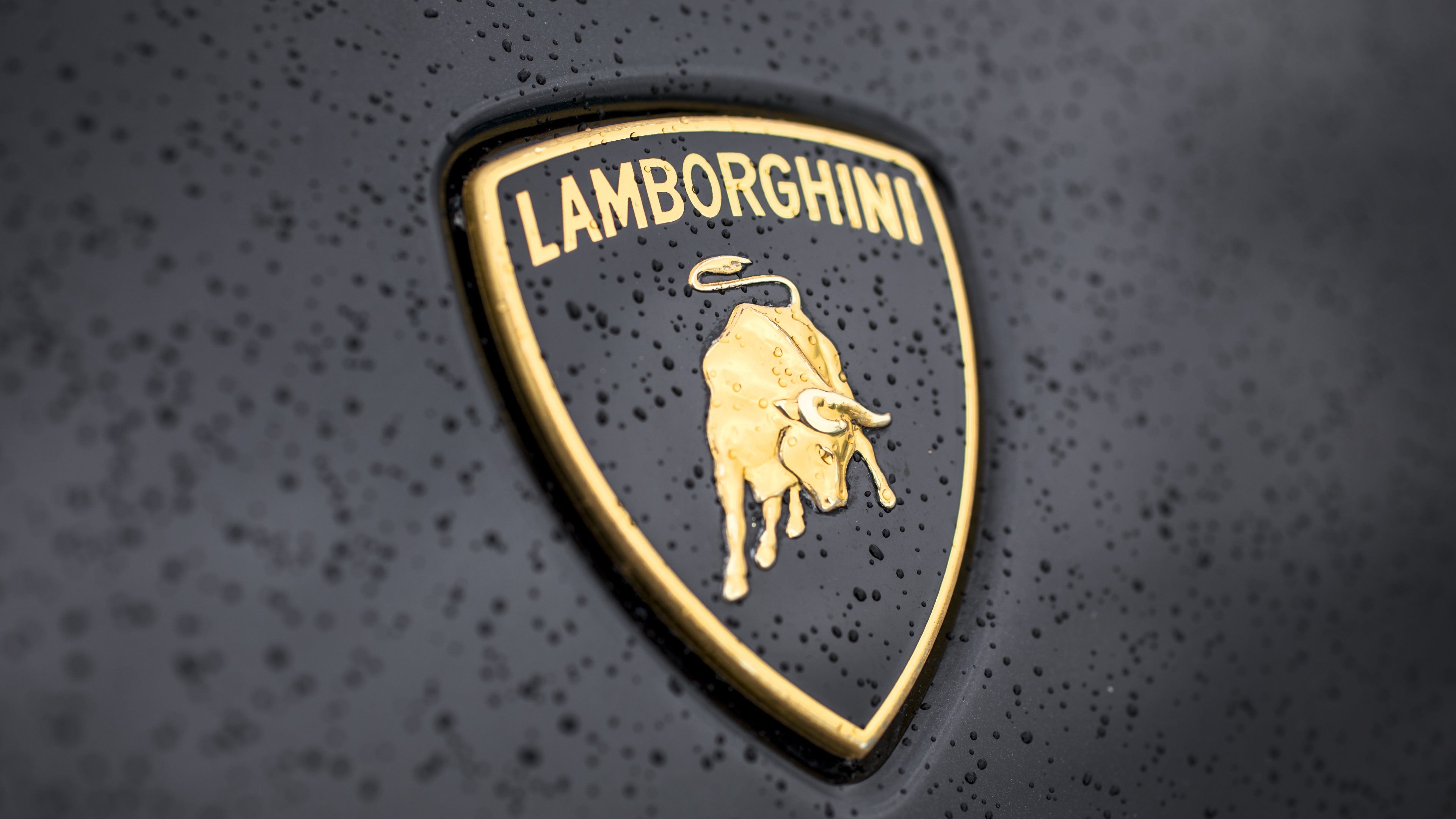 Lamborghini Logo Wallpapers, HD Lamborghini Logo ...