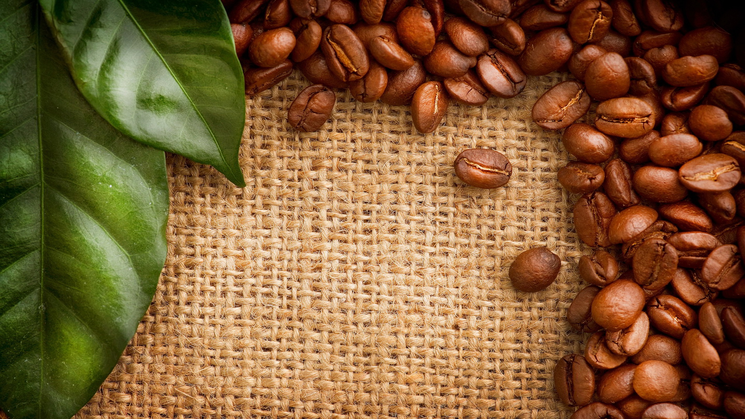 Coffee Beans, Best Coffee Beans Wallpaper, 2560x1440, 13292