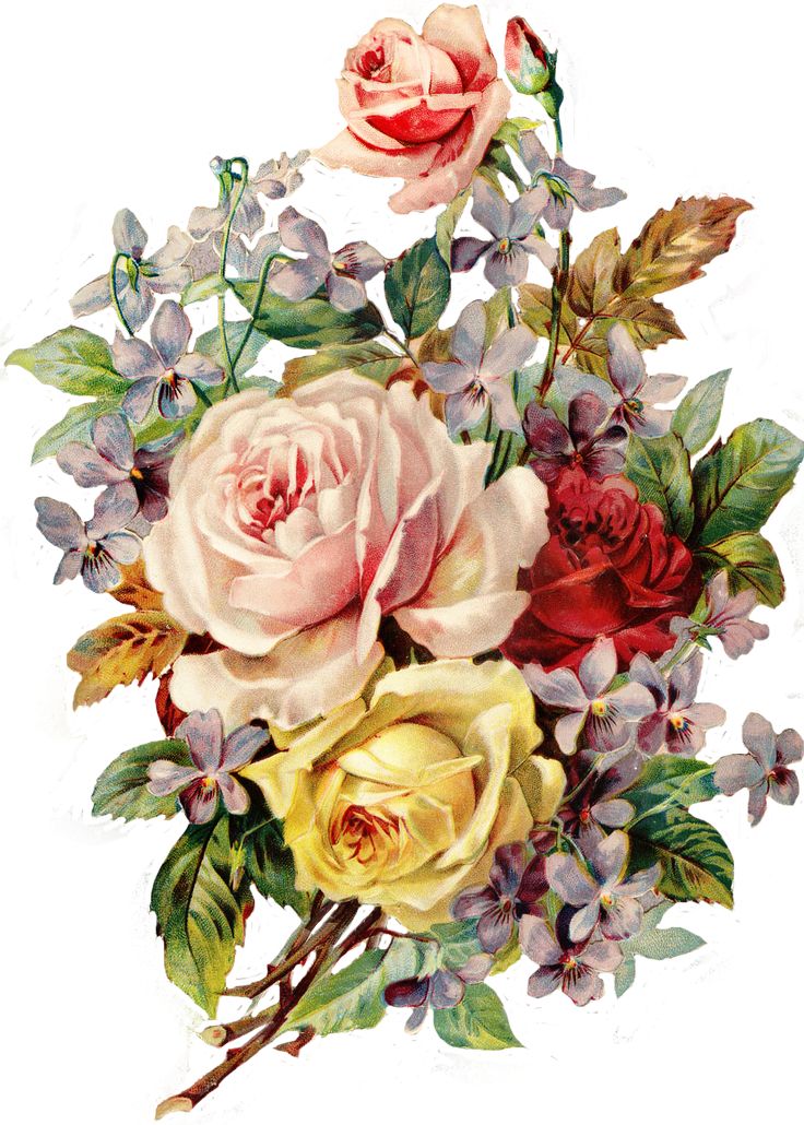 Vintage Flower Wallpapers, Lovely