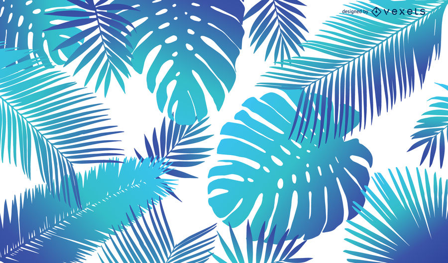 Tropical Image, Blue Tropical Background, 900x529, #20433