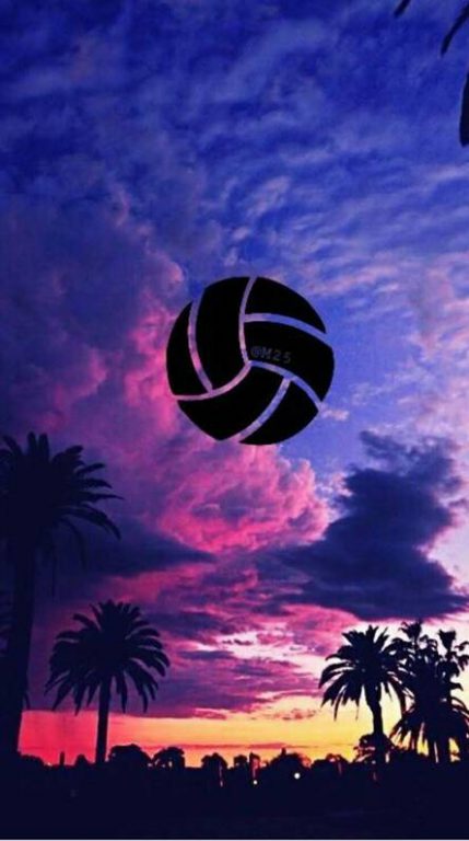 Volleyball Picture, HD Volleyball Wallpaper, 444x794, #26882